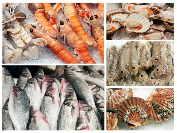 湛江海鮮報關公司哪家好湛江水產品報關
