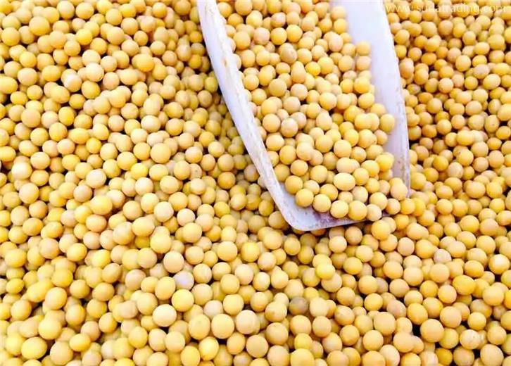 農副產品進口報關怎么操作比較順利? 農副產品進口報關怎么操作比較順利?