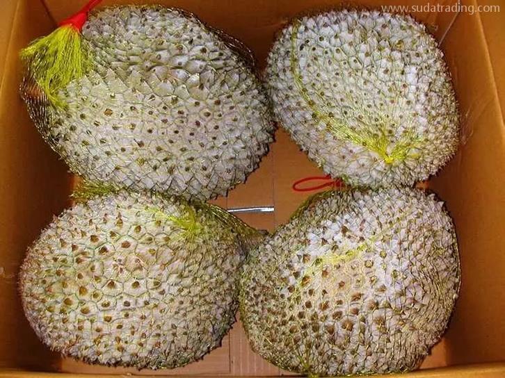 貓山王冷凍榴蓮上海報(bào)關(guān)如何操作【榴蓮報(bào)關(guān)】 貓山王冷凍榴蓮上海報(bào)關(guān)如何操作【榴蓮報(bào)關(guān)】