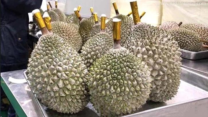 貓山王冷凍榴蓮上海報(bào)關(guān)如何操作【榴蓮報(bào)關(guān)】 貓山王冷凍榴蓮上海報(bào)關(guān)如何操作【榴蓮報(bào)關(guān)】