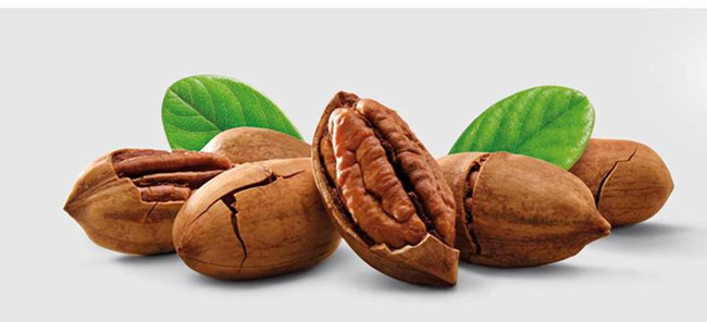 墨西哥碧根果堅果進口報關代理案例分享