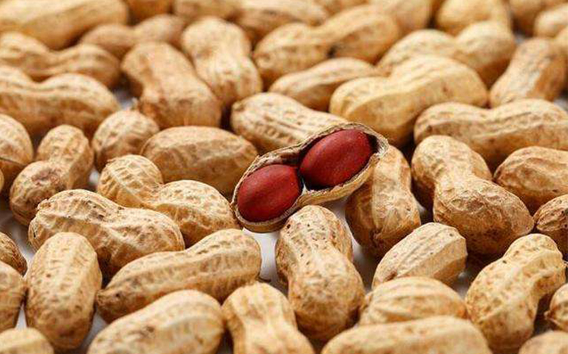 進口大宗農產品報關需要了解這些