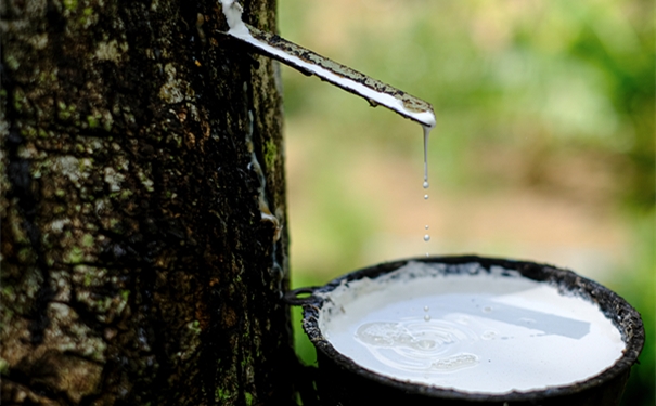 干貨!進(jìn)口橡膠清關(guān)所需的單證資料以及注意事項(xiàng) 干貨!進(jìn)口橡膠清關(guān)所需的單證資料以及注意事項(xiàng)