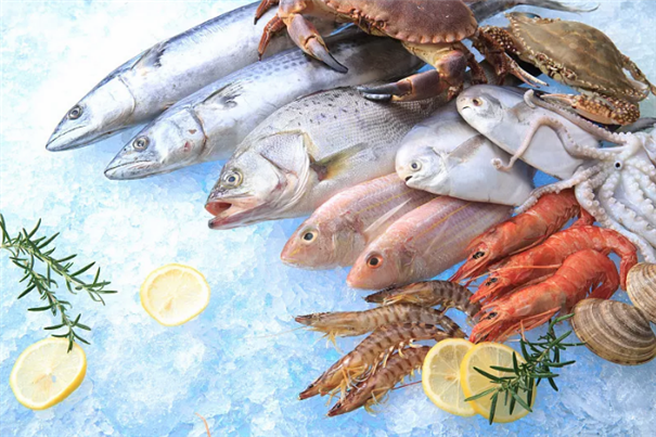 廣州海鮮進口報關進口商所需資質以及流程