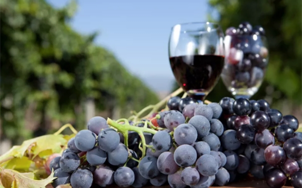 進(jìn)口紅葡萄酒代理報關(guān)申報要素以及稅率 進(jìn)口紅葡萄酒代理報關(guān)申報要素以及稅率