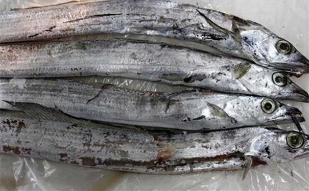 巴基斯坦沙帶魚進口報關流程手續及時間