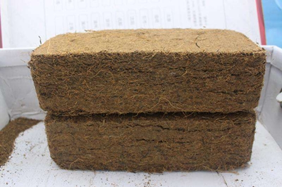 椰糠進口清關一站式費用以及進口流程