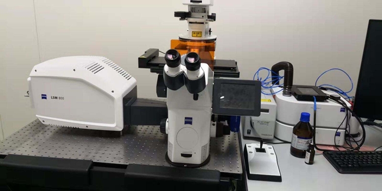 報關(guān)指南!環(huán)境科研設(shè)備進口報關(guān)手續(xù)流程與注意事項 報關(guān)指南!環(huán)境科研設(shè)備進口報關(guān)手續(xù)流程與注意事項