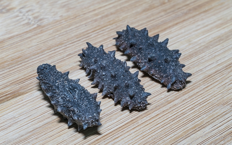 仿刺參進口報關檢驗檢疫需要的資料 仿刺參進口報關檢驗檢疫需要的資料