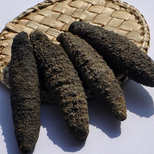 進口加拿大刺參清關上海代理公司重點難點