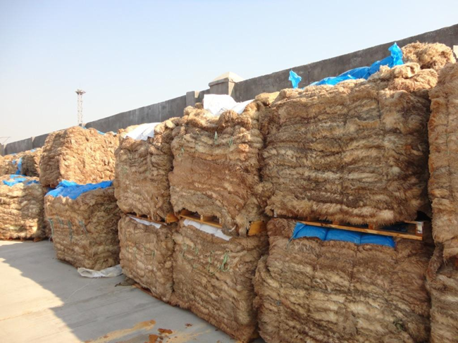 鹽濕皮進口報關一站式流程，鹽濕皮進口報關這樣做