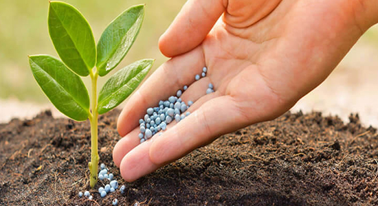 超實用！農作物肥料進口清關流程以及單證資料