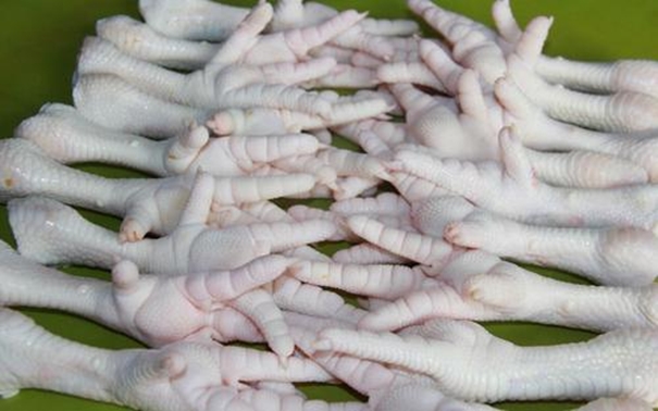 雞爪清關進口代理注意事項看這里啦