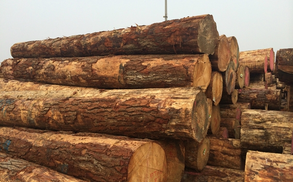 原木進口清關上海代理公司-國內外需提供的清關資料 原木進口清關上海代理公司-國內外需提供的清關資料