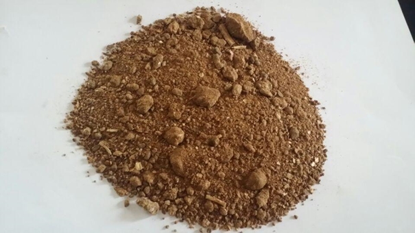 菜籽粕進口清關可以操作的公司有哪些