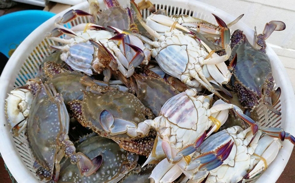 冷凍蟹進口報關一般貿易流程 冷凍蟹進口報關一般貿易流程