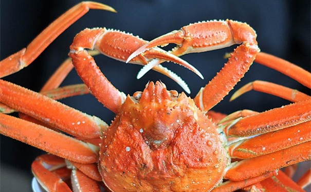 冷凍雪蟹進口報關代理公司如何成功報關冰凍雪蟹 冷凍雪蟹進口報關代理公司如何成功報關冰凍雪蟹