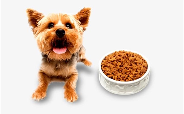 一篇搞懂美國進(jìn)口寵物糧食清關(guān)代理一站式服務(wù)流程 一篇搞懂美國進(jìn)口寵物糧食清關(guān)代理一站式服務(wù)流程