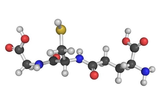 抗氧化劑進口報關流程手續經驗豐富