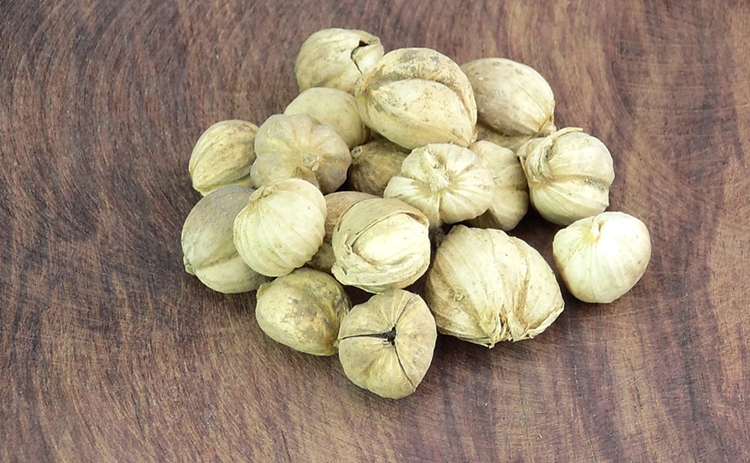 天津港進(jìn)口豆蔻清關(guān)一站式代理服務(wù) 天津港進(jìn)口豆蔻清關(guān)一站式代理服務(wù)