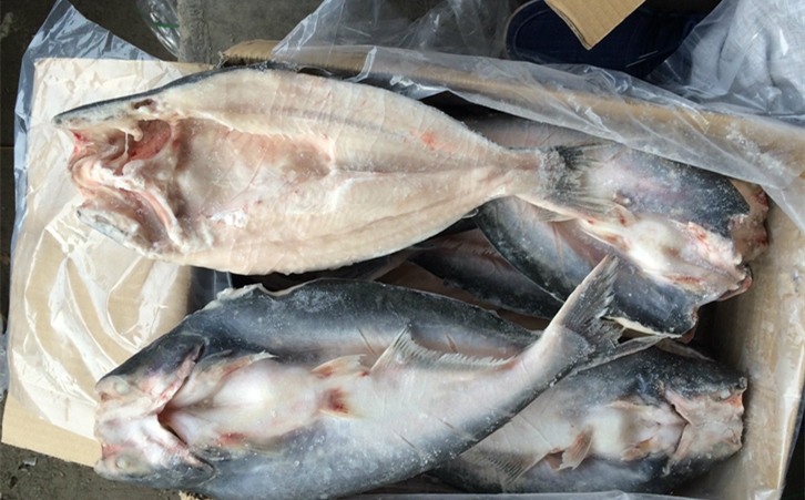 進口巴沙魚清關代理一點都不難，只要你準備好這些資料