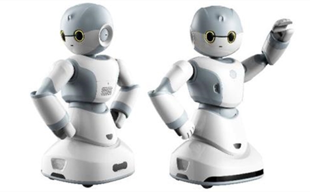 【機器人進口報關(guān)代理公司】告訴你機器人進口流程 【機器人進口報關(guān)代理公司】告訴你機器人進口流程