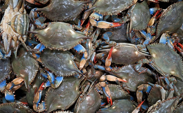 非洲【進口青蟹清關代理】的流程,一般貿易進口青蟹 非洲【進口青蟹清關代理】的流程,一般貿易進口青蟹