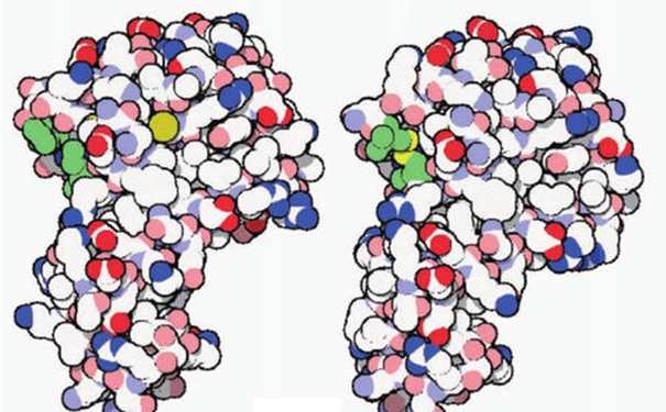 【進口酶清關代理】的流程，一般貿易進口酶