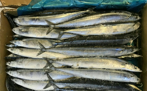 在嗎?【進(jìn)口冷凍海鮮清關(guān)代理】的流程請(qǐng)查收 在嗎?【進(jìn)口冷凍海鮮清關(guān)代理】的流程請(qǐng)查收