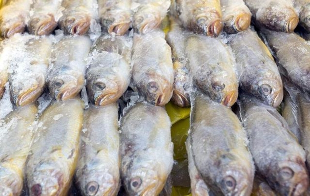 消防車進口報關一般貿易流程及監管條件