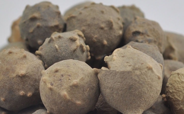 進口沒食子清關代理公司 進口沒食子清關代理公司