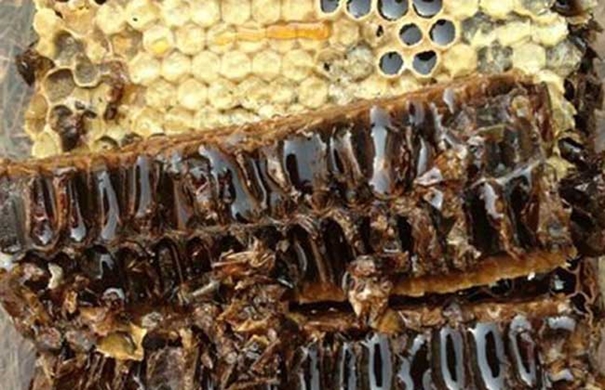 Get!蜂膠進口清關(guān)代理需要注意這2點