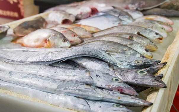 青島進口水產品報關公司