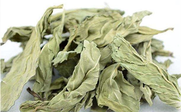 干薄荷葉進口報關(guān)的流程是怎樣的？