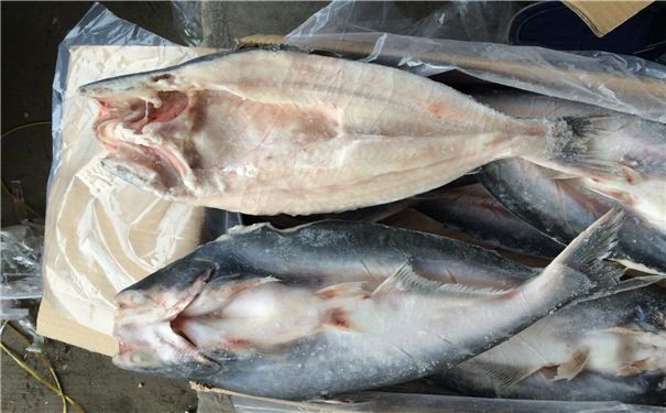 空運海鮮進口報關一般貿易進口需要注意這些,來看看? 空運海鮮進口報關一般貿易進口需要注意這些,來看看?