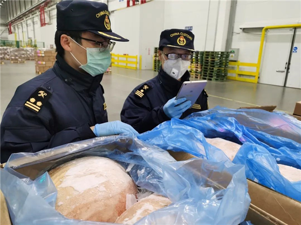 報關(guān)知識 | 進口肉類產(chǎn)品海關(guān)申報怎么做，關(guān)sir給你的指南