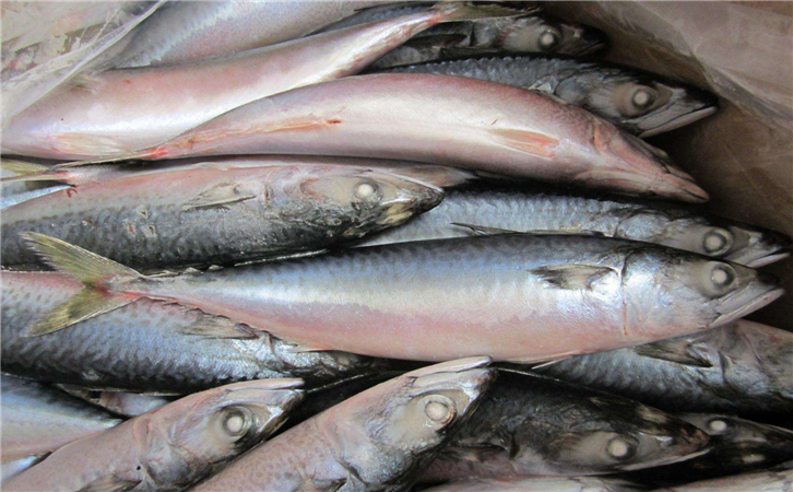 俄羅斯水產品進口報關公司，聯網助你快速通關!