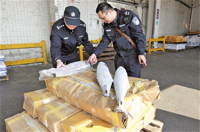 菲律賓凍魚進(jìn)口報(bào)關(guān)操作流程手續(xù)的指導(dǎo) 菲律賓凍魚進(jìn)口報(bào)關(guān)操作流程手續(xù)的指導(dǎo)