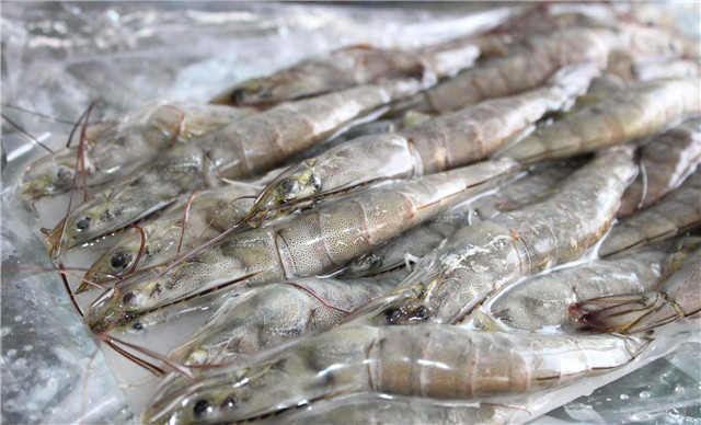 越南蝦進口報關流程技巧講解，get到了嗎