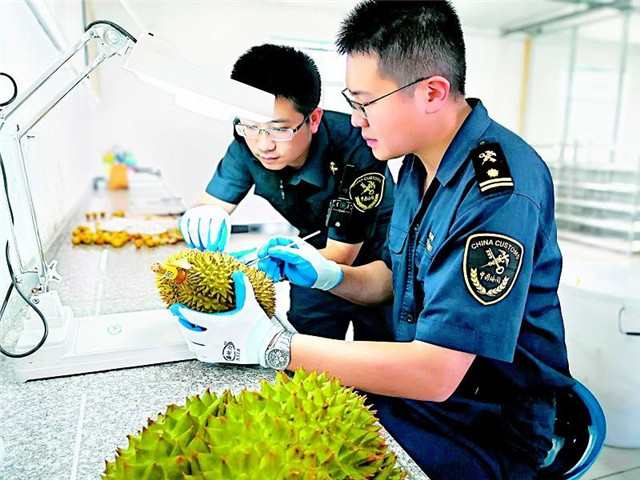 進口泰國榴蓮報關這樣操作準沒錯 進口泰國榴蓮報關這樣操作準沒錯