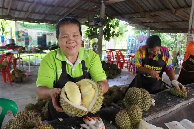進口泰國榴蓮報關這樣操作準沒錯 進口泰國榴蓮報關這樣操作準沒錯