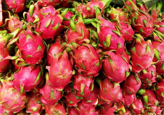 這是一家越南火龍果進口報關(guān)清關(guān)代理公司