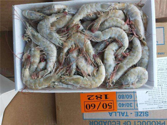 16年經驗講解厄瓜多爾白蝦進口報關清關稅率流程以及資料