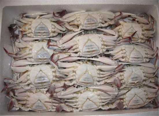 進口海鮮清關(guān)您需要注意以下這些事項