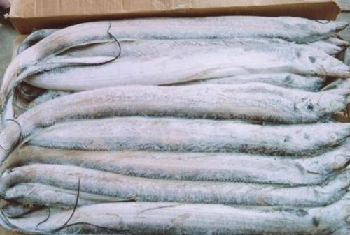 一站式冷凍水產品進口報關單證及通關流程