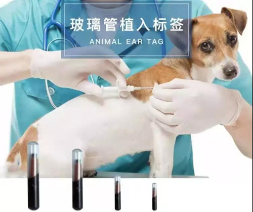 寵物出境流程以及提前準備的單證資料