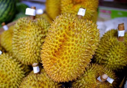 泰國榴蓮進(jìn)口報關(guān)清關(guān)代理公司有哪些?榴蓮進(jìn)口報關(guān)注意事項(xiàng)