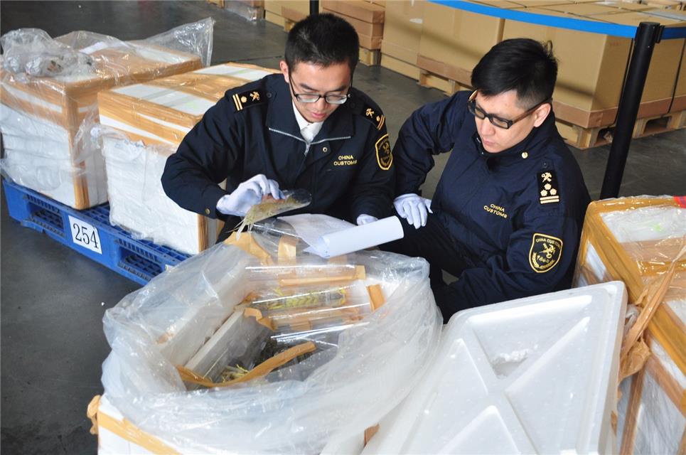 個人進口有哪些方式 一起來增加自己的進口常識