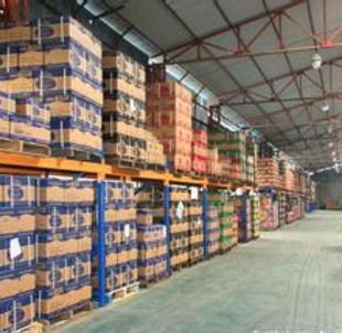 設(shè)立廣州食品倉(cāng)庫(kù)的要求以及食品倉(cāng)庫(kù)的管理制度