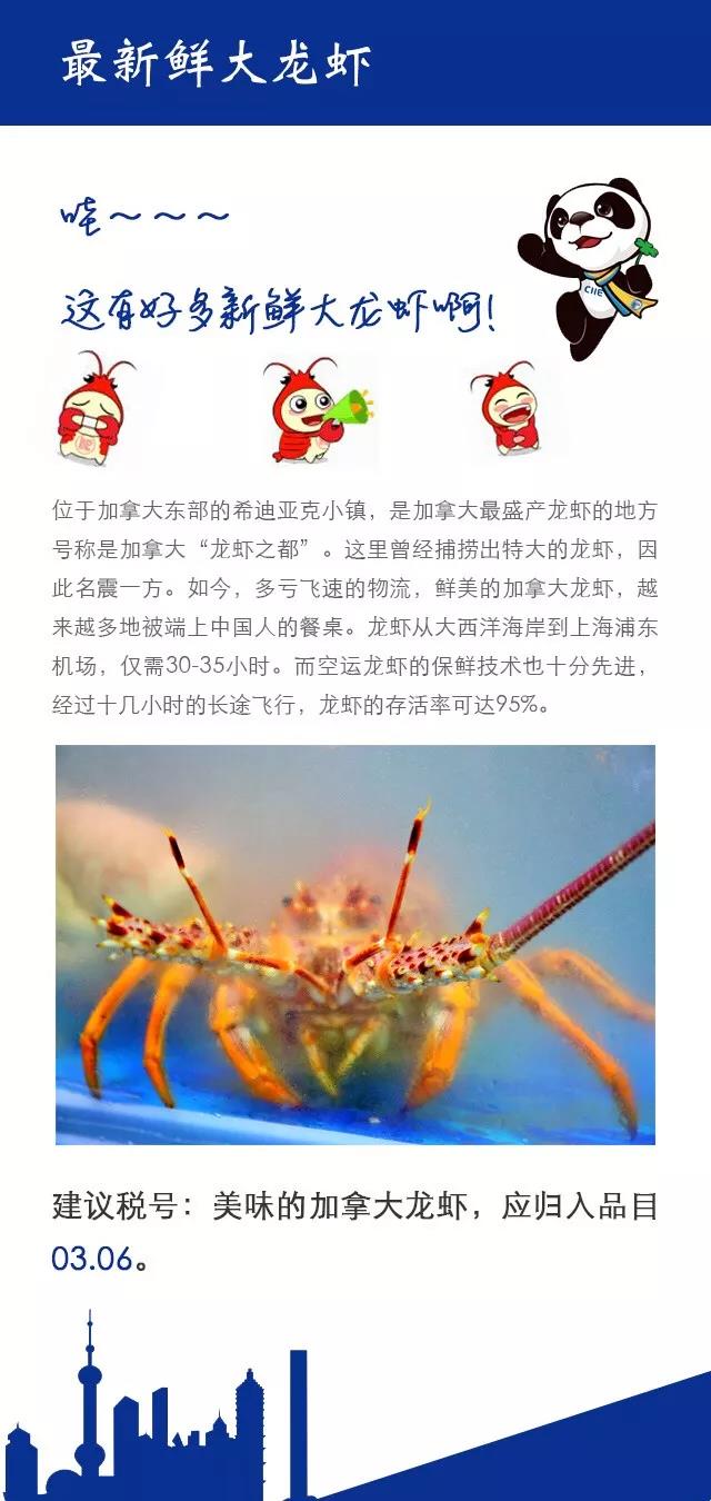 首屆中國國際進口博覽會|進博會上的那些新鮮玩意如何歸類?